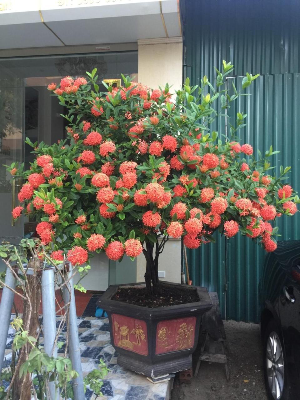 Nha Nghi Anh Dung Bed & Breakfast Ha Long Bagian luar foto